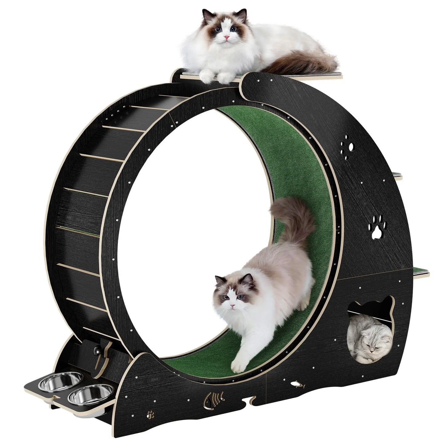 HiMISS 6 in 1 Cat Exercise Wheel Treadmill with Bowls