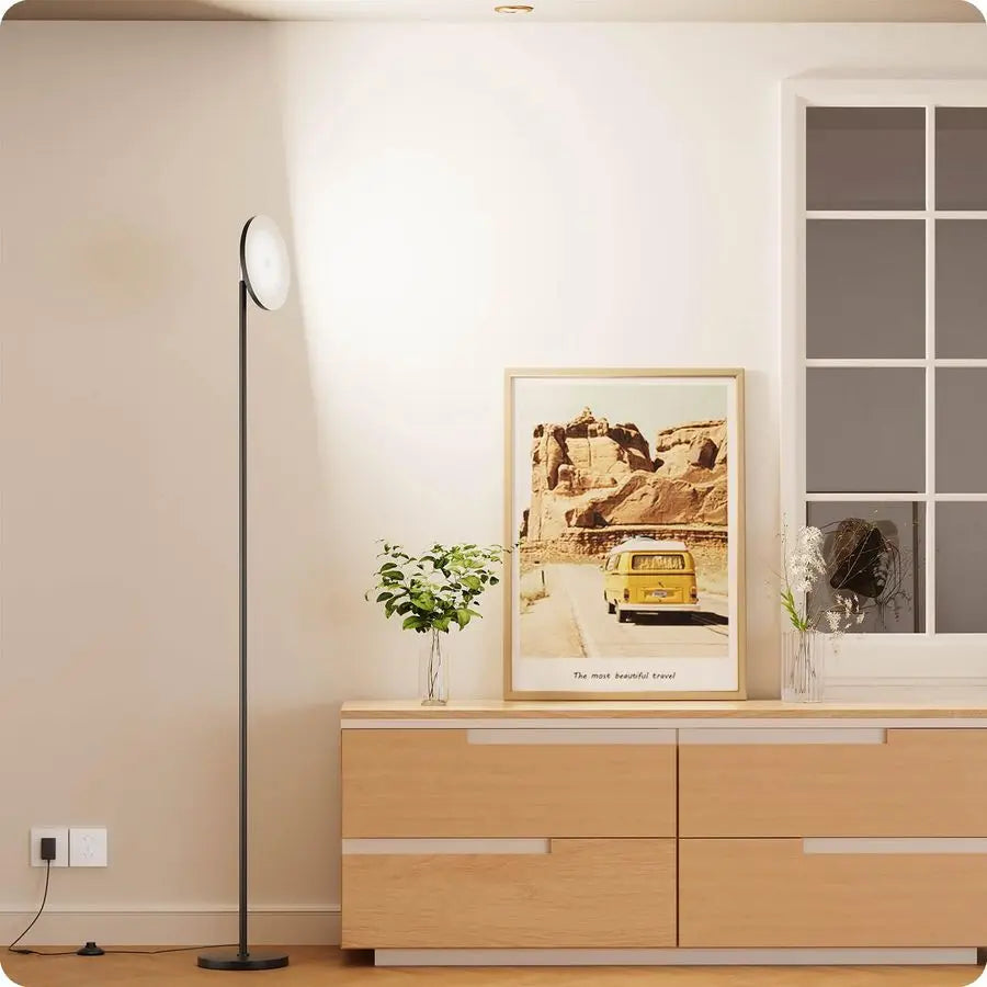 Floor Lamp With Remote Adjustable Brightness And Color Temperature