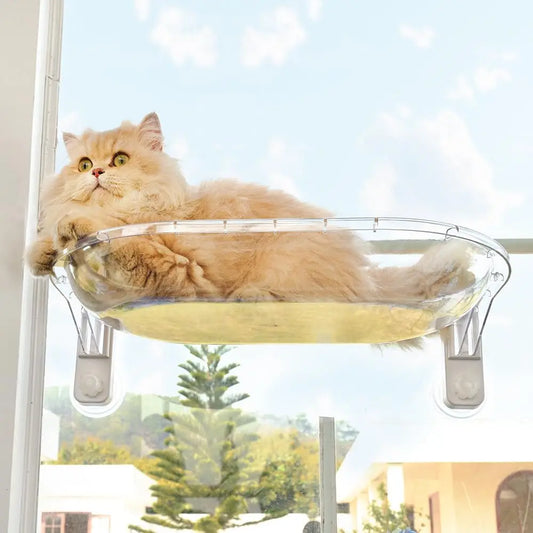 YQXH Transparent Cat Window Perch By Amosijoy With Easy Install