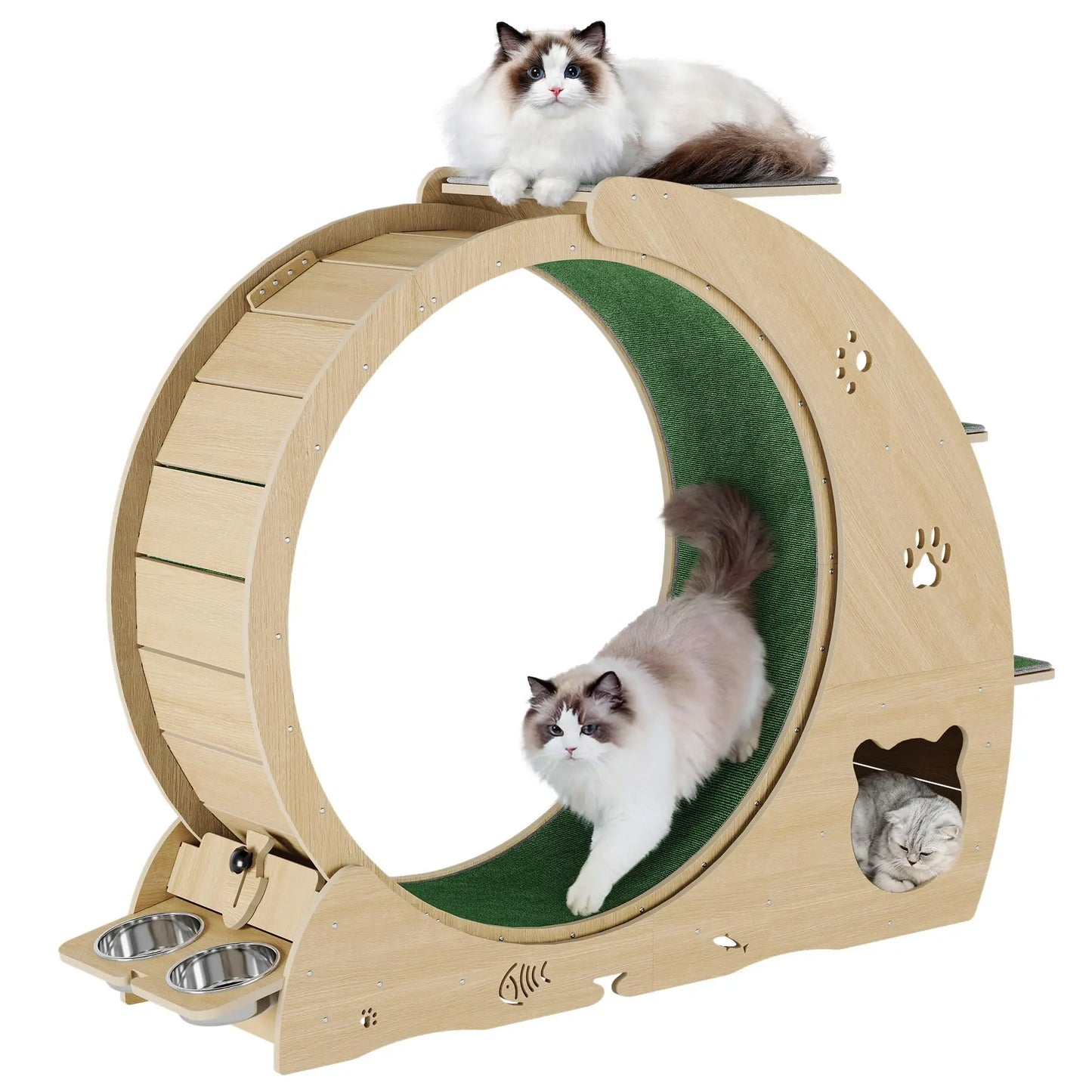 HiMISS 6 in 1 Cat Exercise Wheel Treadmill with Bowls