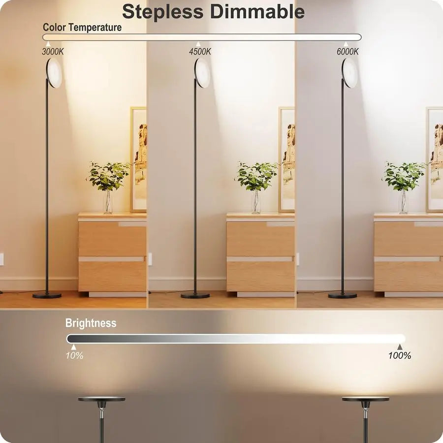 Floor Lamp With Remote Adjustable Brightness And Color Temperature