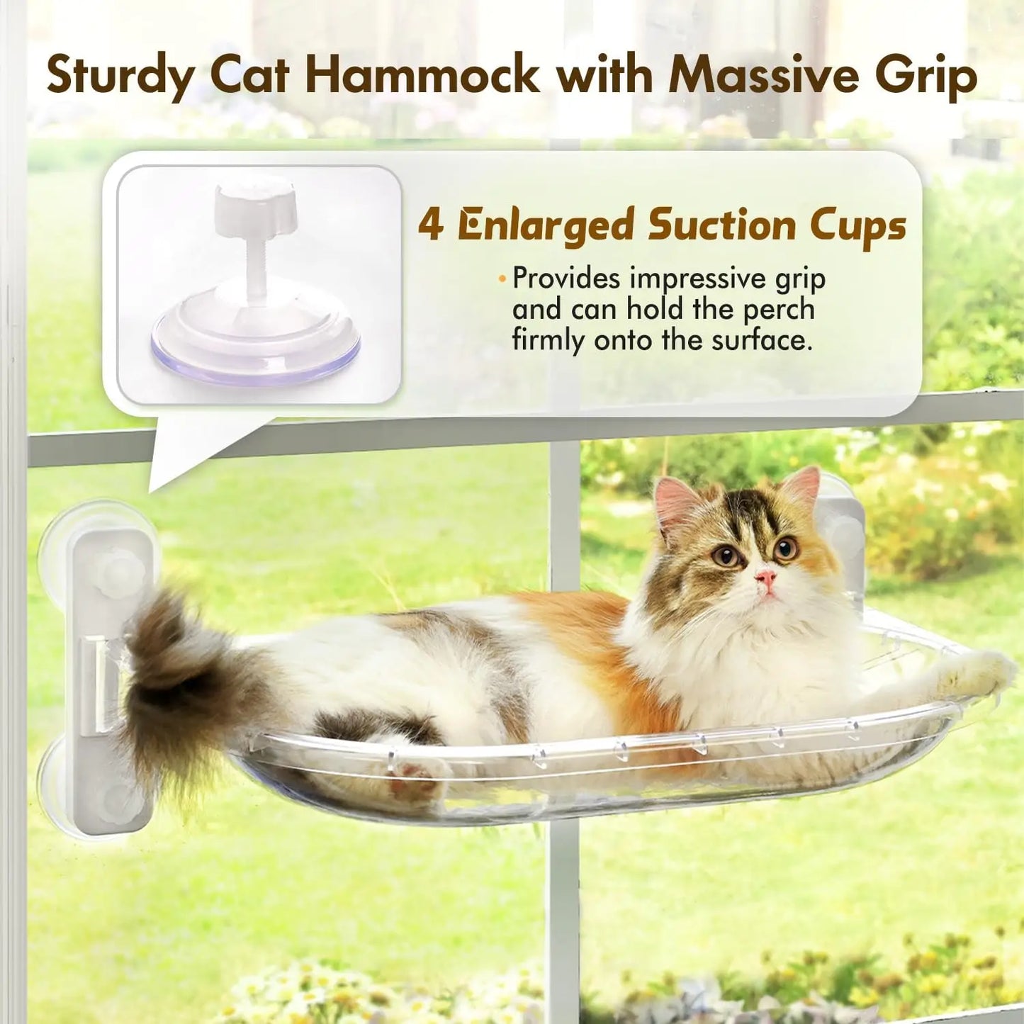 YQXH Transparent Cat Window Perch By Amosijoy With Easy Install