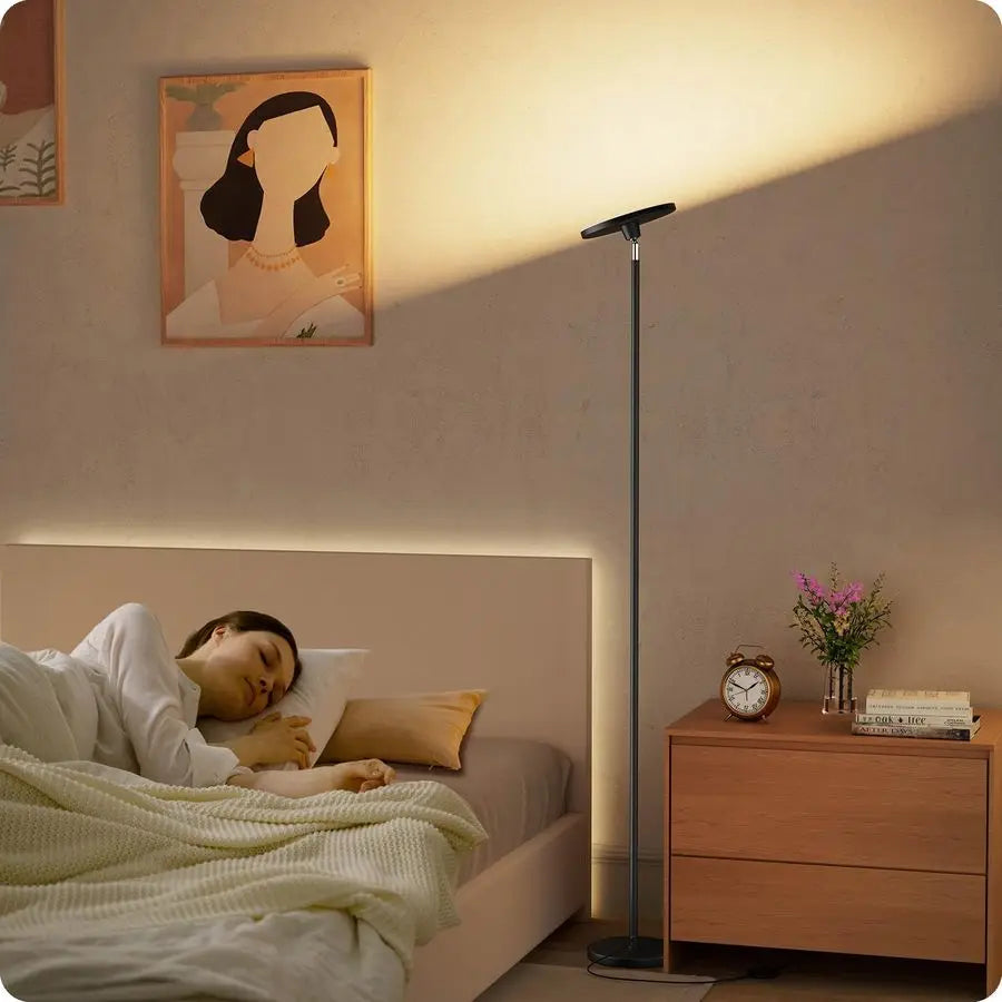 Floor Lamp With Remote Adjustable Brightness And Color Temperature