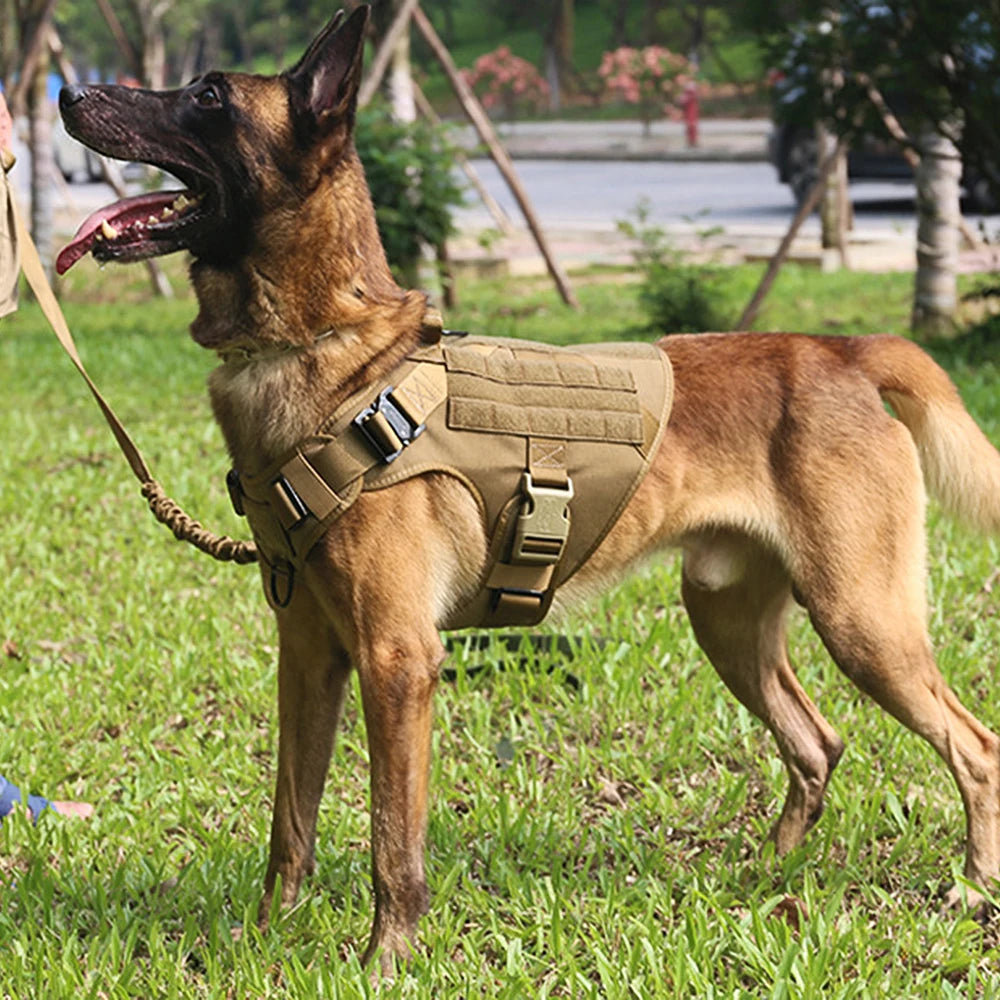 PETRAVELCN Large Dog Harness and Leash Set for Training and Walking