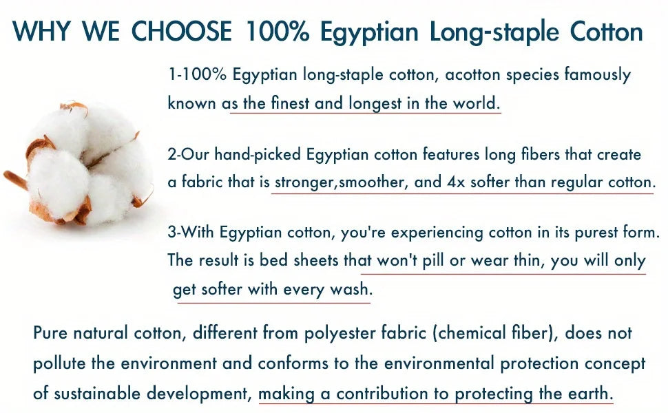 LISSTHERCN 3Piece 600TC Egyptian Cotton Duvet Cover Set Paisley Royal