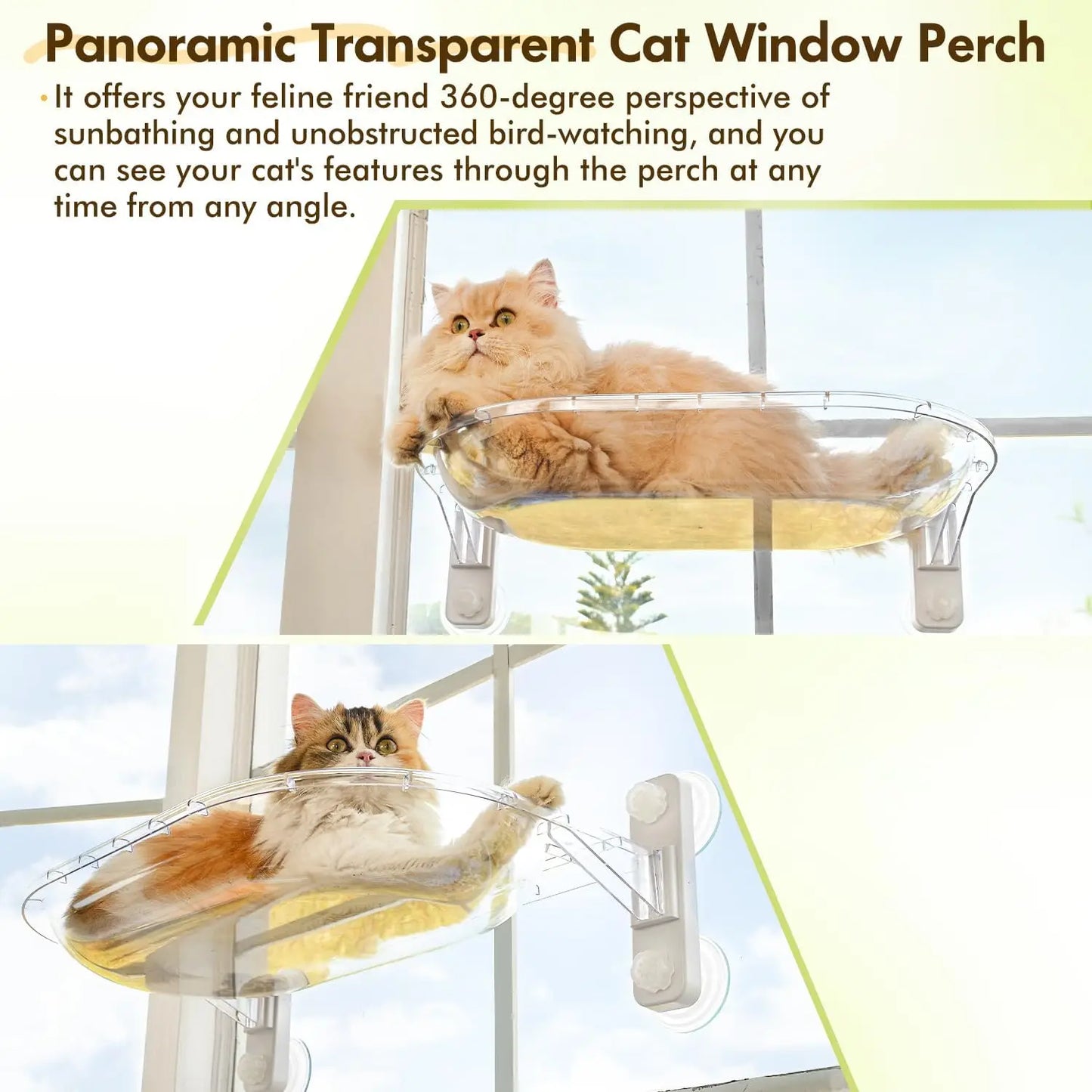 YQXH Transparent Cat Window Perch By Amosijoy With Easy Install